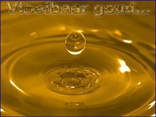 olijfolie het vloeibare goud